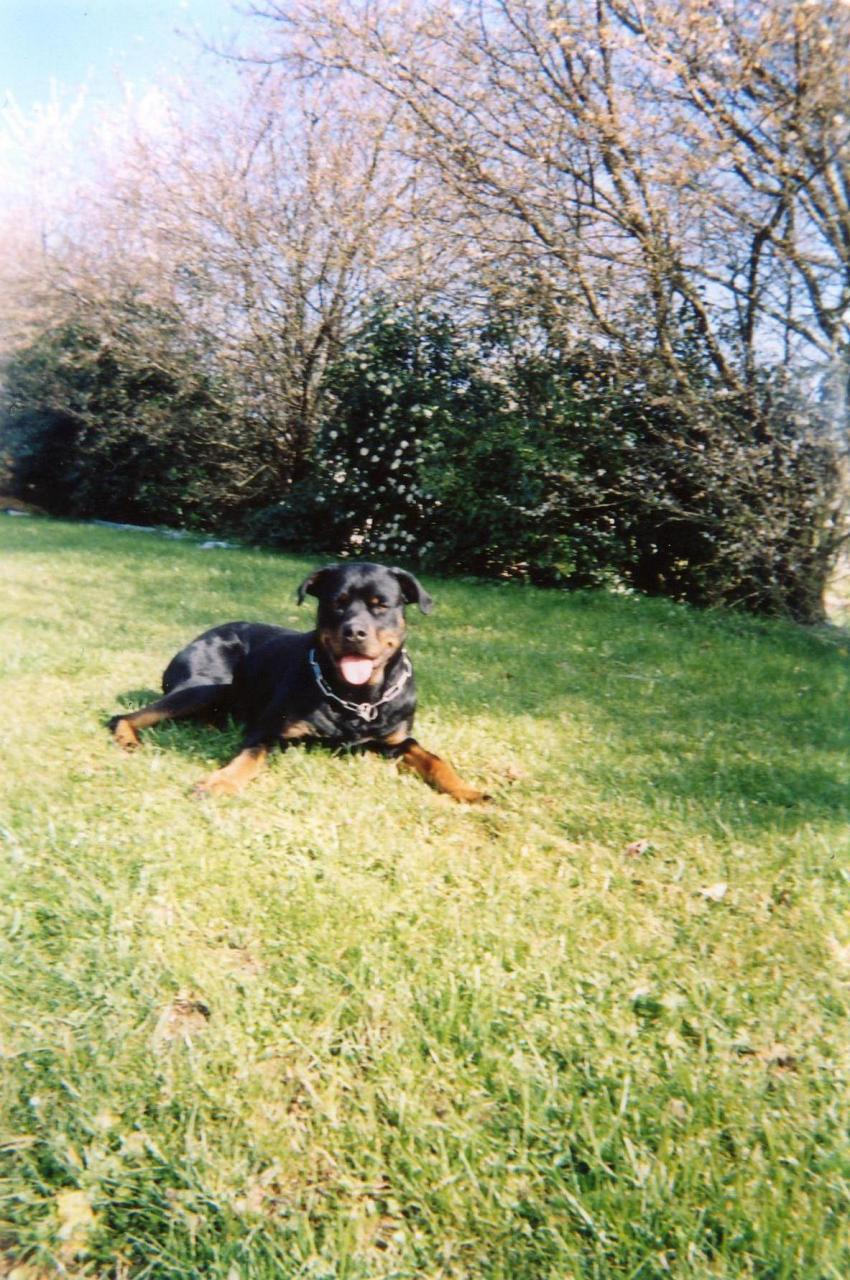  tess à 2 ans
