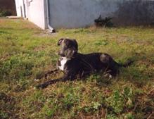 cooper