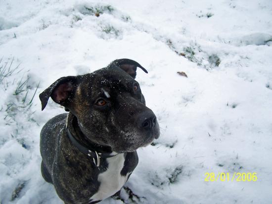 Cooper mon ami