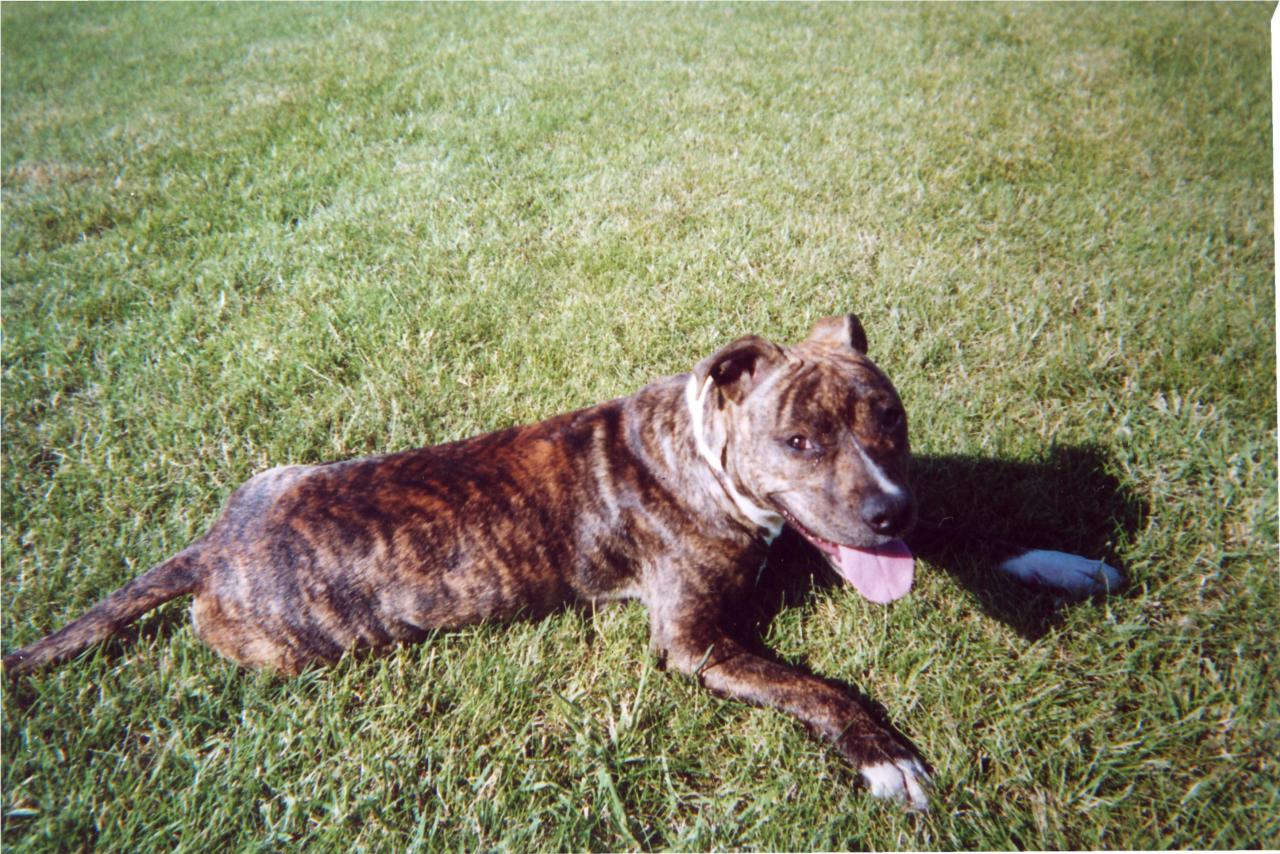 hycka